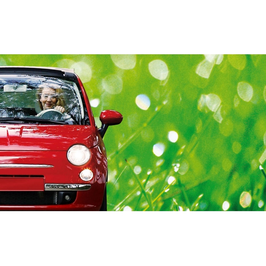 Автокрушка Philips ECO VISION 12258LLECOB1 H1 P14,5s/55W/12V