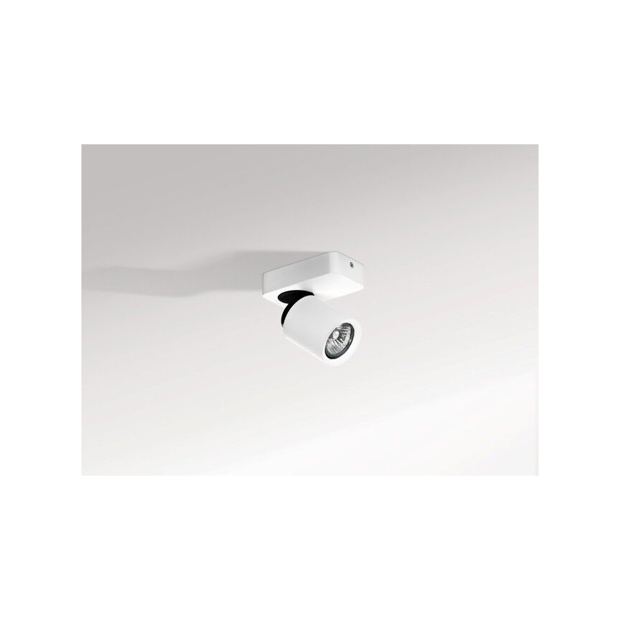 Azzardo AZ0662 - Точково осветително тяло TOMI 1xGU10/50W/230V