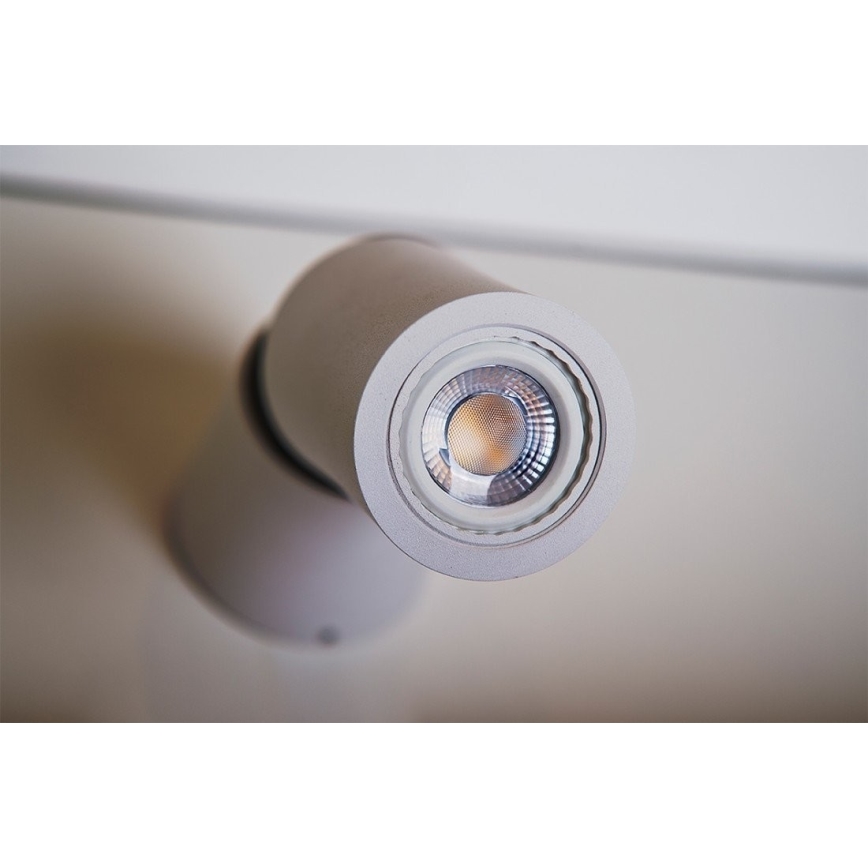 Azzardo AZ1479 - Точково осветително тяло LINO 1xGU10/50W/230V