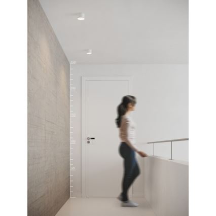 Azzardo AZ2252 - LED таванно осветително тяло MONZA LED/5W/230V