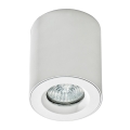 Azzardo AZ2559 - Външна лампа за таван ARO 1xGU10/50W/230V IP54