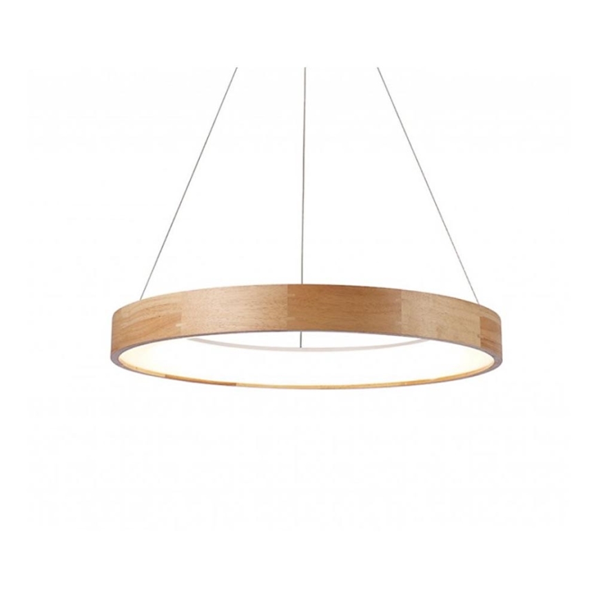 Azzardo AZ2699 - LED полилей на въже SILVAM 1xLED/50W/230V