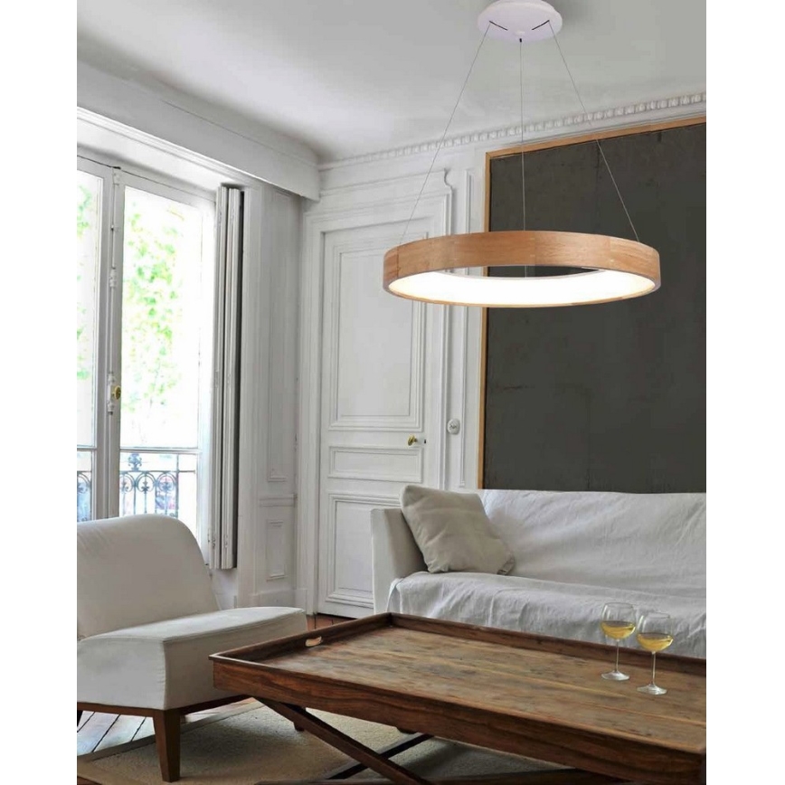 Azzardo AZ2699 - LED полилей на въже SILVAM 1xLED/50W/230V