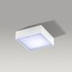 Azzardo AZ2781 - LED Лампа за таван FALCO LED/12W/230V