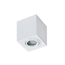 Azzardo AZ2822 - Лампа за баня BRANT 1xGU10/50W/230V IP44