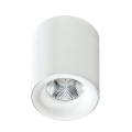 Azzardo AZ2845 - LED Лампа за таван MANE 1xLED/10W/230V