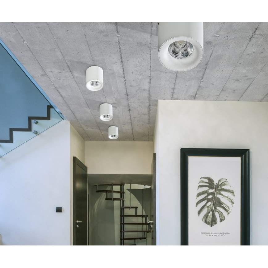 Azzardo AZ2845 - LED таванно осветително тяло MANE LED/10W/230V