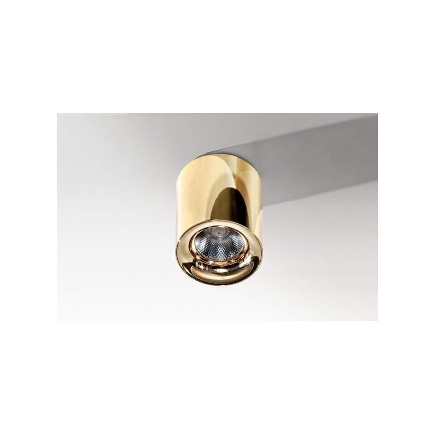 Azzardo AZ2846 - LED Лампа за таван MANE 1xLED/10W/230V