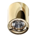 Azzardo AZ2846 - LED таванно осветително тяло MANE LED/10W/230V