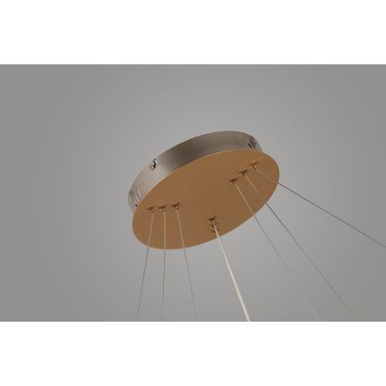 Azzardo AZ4429 - LED Висящ полилей BRIGHTON LED/55W/230V златист