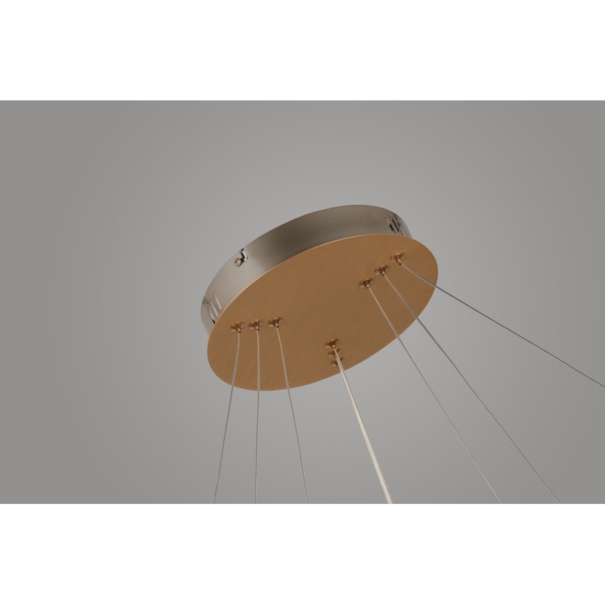 Azzardo AZ4429 - LED Висящ полилей BRIGHTON LED/55W/230V златист