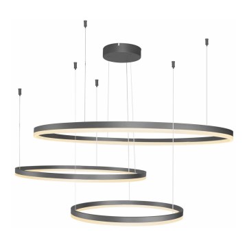 Azzardo AZ4707 - LED полилей на кабел HALO LED/130W/230V черен