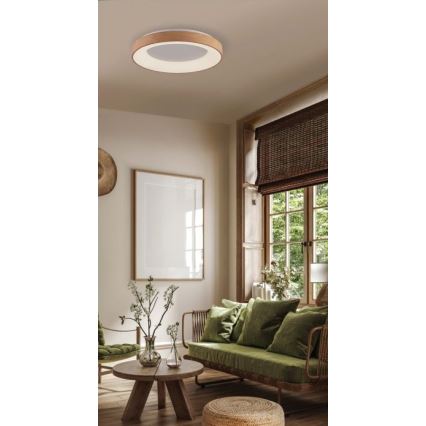 Azzardo AZ4988 - LED Плафониера SANTANA LED/30W/230V златист