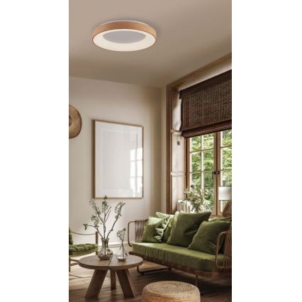 Azzardo AZ4989 - LED Плафониера SANTANA LED/30W/230V кафяв