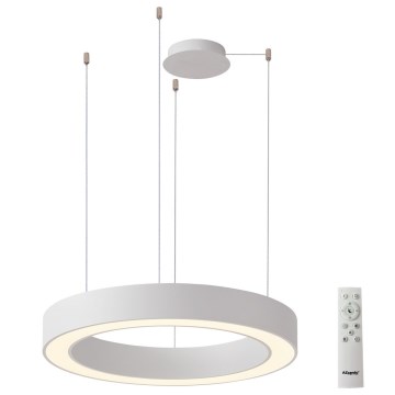 Azzardo AZ5043 - LED Димируем пендел MARCO LED/50W/230V бял + дистанционно управление