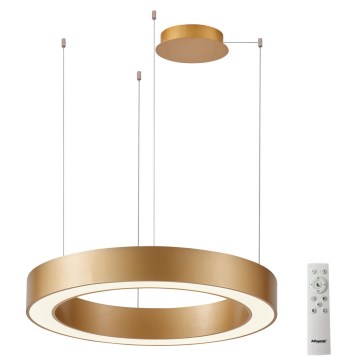 Azzardo AZ5045 - LED Димируем пендел MARCO LED/50W/230V златист + дистанционно управление
