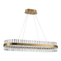 Azzardo AZ5263 - LED Пендел FRANCESCA LED/64W/230V 100 см