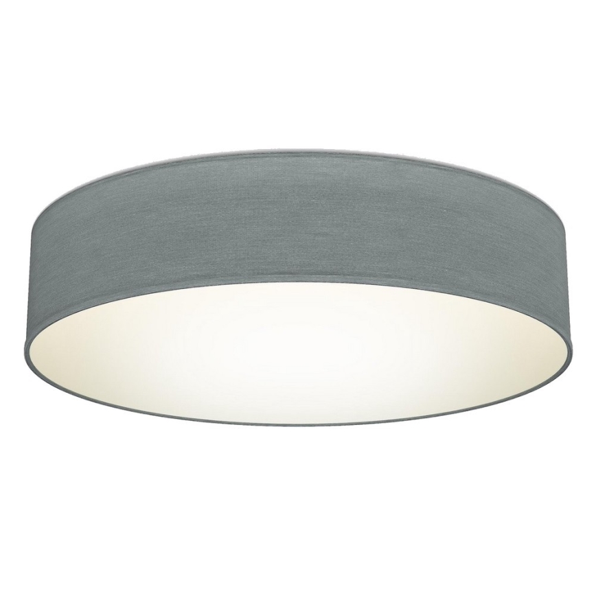 B.K. Licht 1393 - LED Лампа LED/20W/230V сива