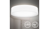 B.K. Licht 1394 - LED Лампа LED/20W/230V бяла