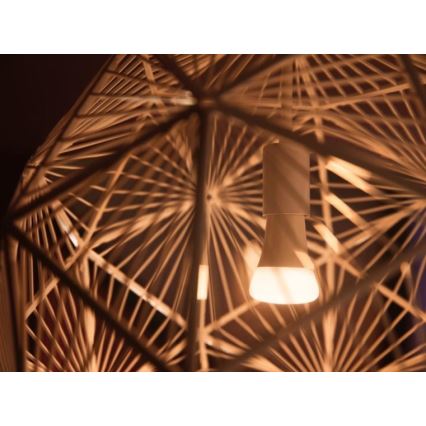 Начален комплект Philips Hue WHITE AMBIANCE 2xE27/8W/230V + Hue Bridge и димер превключвател