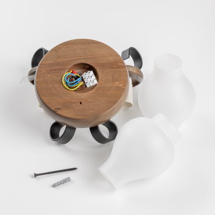 Brilagi - Аплик ROATA APLICA 2xE14/40W/230V бук/орех