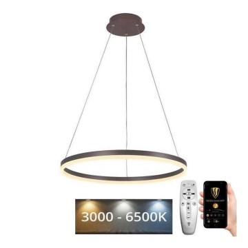 Brilagi - димируем LED полилей на кабел CIRCLE LED/42W/230V 3000-6500K диаметър 60 см кафяв + дистанционно управление