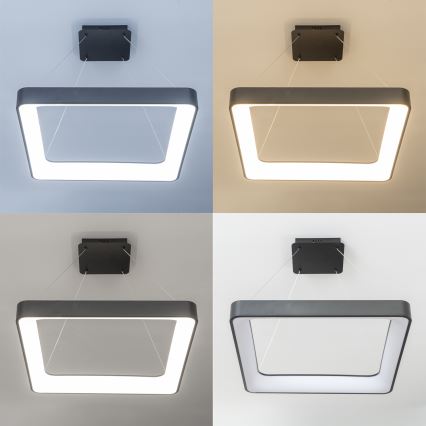 Brilagi - Димируем LED полилей на кабел FALCON II LED/125W/230V 3000-6500K 60x60 cm черен + дистанционно управление