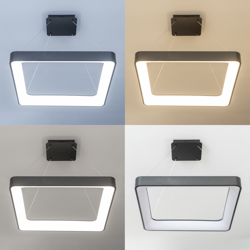 Brilagi - Димируем LED полилей на кабел FALCON II LED/125W/230V 3000-6500K 60x60 cm черен + дистанционно управление