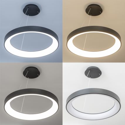 Brilagi - Димируем LED полилей на кабел FALCON II LED/99W/230V 3000-6500K Ø 60 cm черен + дистанционно управление