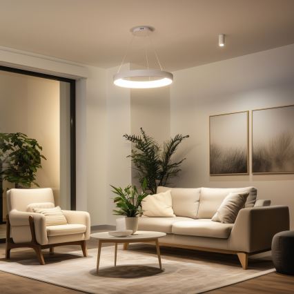 Brilagi - LED Димируема висяща лампа на кабел FALCON II LED/99W/230V 3000-6500K Ø 60 cm бяла + дистанционно управление