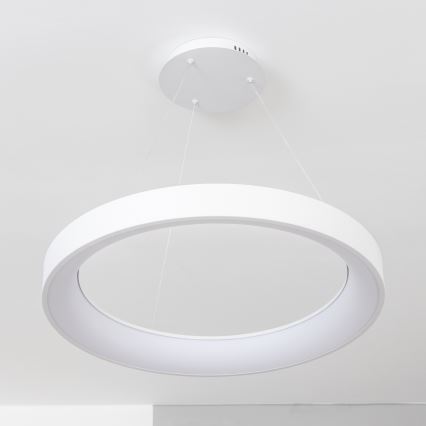 Brilagi - LED Димируема висяща лампа на кабел FALCON II LED/99W/230V 3000-6500K Ø 60 cm бяла + дистанционно управление