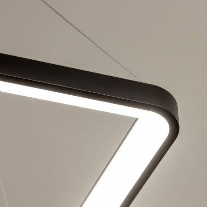 Brilagi - LED димируем полилей на кабел FALCON SLIM LED/50W/230V 3000-6500K 50x50 cm черен + дистанционно управление