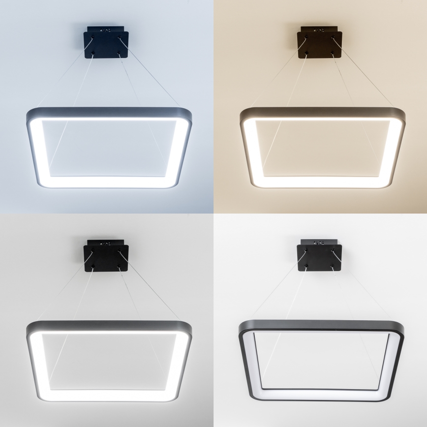 Brilagi - LED димируем полилей на кабел FALCON SLIM LED/50W/230V 3000-6500K 50x50 cm черен + дистанционно управление