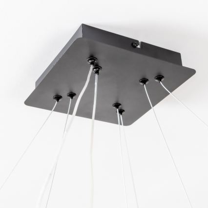 Brilagi - LED димируем полилей на кабел FALCON SLIM LED/78W/230V 3000-6500K 50x50 cm черен + дистанционно управление