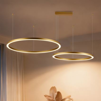 Brilagi - LED полилей с регулируема яркост на кабел PORTOFINO LED/98W/230V 3000-6000K златист + дистанционно управление