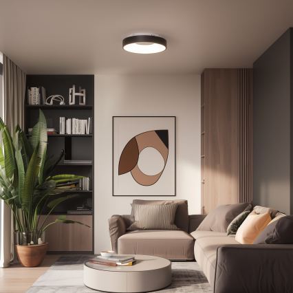 Brilagi - LED таванно осветително тяло с функция за димиране FALCON II LED/67W/230V 3000-6500K Ø 40 см черно + дистанционно управление