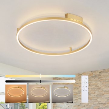 Brilagi - димируем LED таванен плафон PORTOFINO LED/60W/230V 3000-6000K pr. 80 cm златен + дистанционно управление