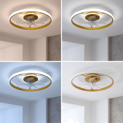Brilagi - LED димируем таванен вентилатор LED/66W/230V 55 см бял/златист + дистанционно управление