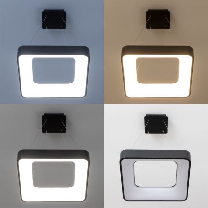 Brilagi - Димируема LED висяща лампа на кабел FALCON II LED/80W/230V 3000-6500K 40x40 cm черна + дистанционно управление