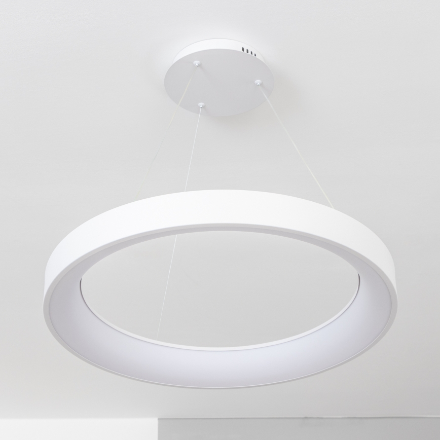 BRILAGI - LED полилей на кабел с регулируема яркост FALCON II LED/99W/230V 3000-6500K Ø 60 cm бял + дистанционно управление