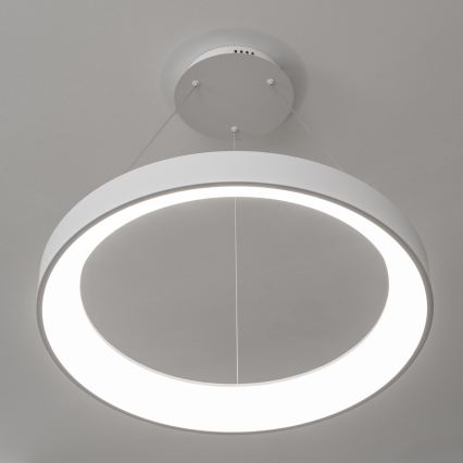 BRILAGI - LED полилей на кабел с регулируема яркост FALCON II LED/99W/230V 3000-6500K Ø 60 cm бял + дистанционно управление