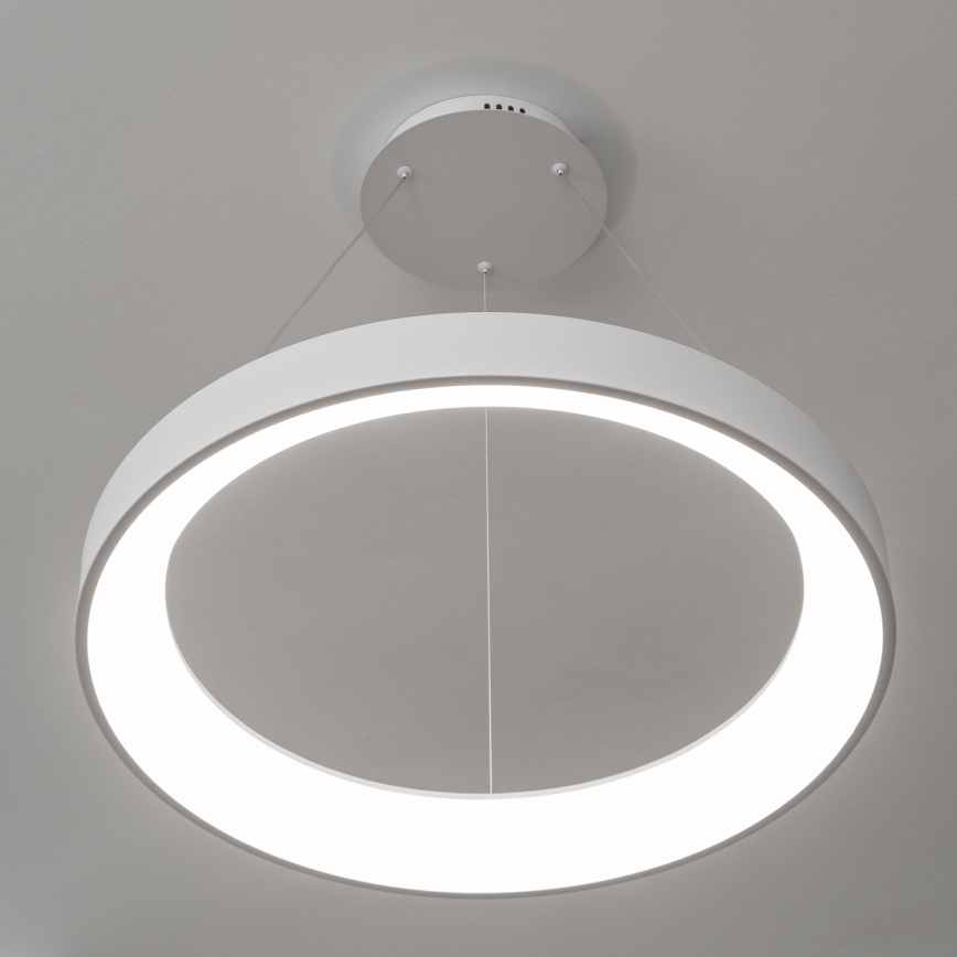 BRILAGI - LED полилей на кабел с регулируема яркост FALCON II LED/99W/230V 3000-6500K Ø 60 cm бял + дистанционно управление