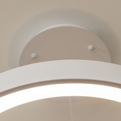 BRILAGI - LED полилей на кабел с регулируема яркост FALCON II LED/99W/230V 3000-6500K Ø 60 cm бял + дистанционно управление