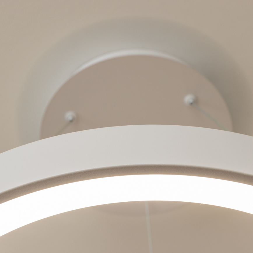 BRILAGI - LED полилей на кабел с регулируема яркост FALCON II LED/99W/230V 3000-6500K Ø 60 cm бял + дистанционно управление
