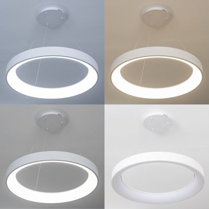BRILAGI - LED полилей на кабел с регулируема яркост FALCON II LED/99W/230V 3000-6500K Ø 60 cm бял + дистанционно управление