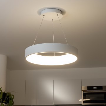 Brilagi - Димируема LED люстра с кабелно окачване FALCON LED/80W/230V 3000-6500K Ø 60 см бяла + дистанционно управление