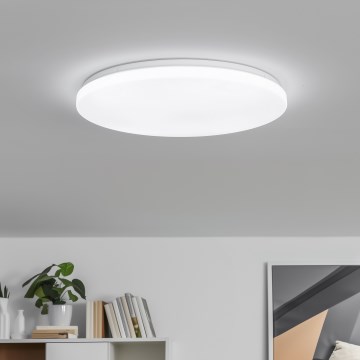 Brilagi - Димируема таванна лампа PINE LED/24W/230V диаметър 42 см 3000-6500K + дистанционно управление