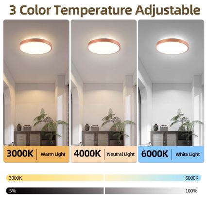 BRILAGI - LED Димируемо таванно осветително тяло GLASS POOL DOUBLE LED/48W/230V Ø 40 cm медно + дистанционно управление