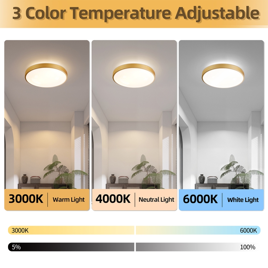 Brilagi - димируемо LED таванно осветително тяло GLASS POOL DOUBLE LED/48W/230V 3000-6000K 40 см златисто + дистанционно управление