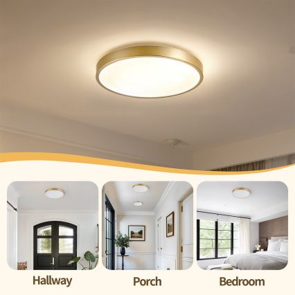 Brilagi - димируемо LED таванно осветително тяло GLASS POOL DOUBLE LED/48W/230V 3000-6000K 40 см златисто + дистанционно управление